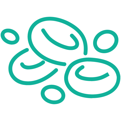Coagulation-Pathway_teal