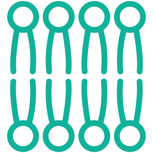 Lipid-Metabolism-and-Transport_teal