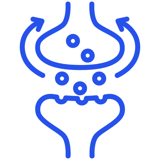Neurotransmitter-Metabolism