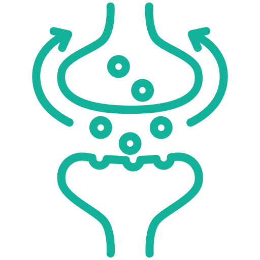 Neurotransmitter-Metabolism_teal