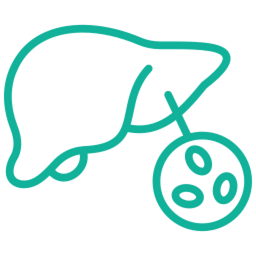 Non-Alcoholic-Fatty-Liver-Disease_teal