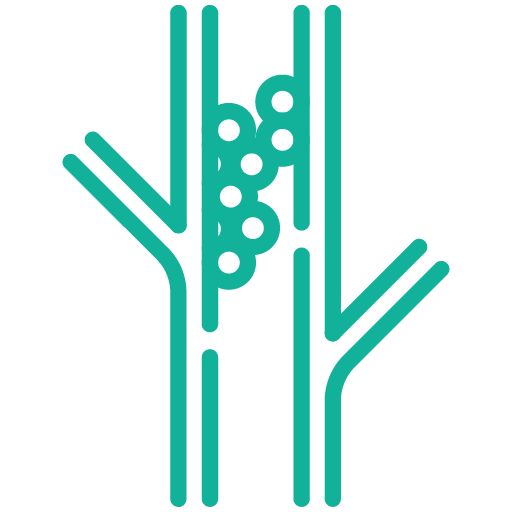 Atherosclerosis_teal