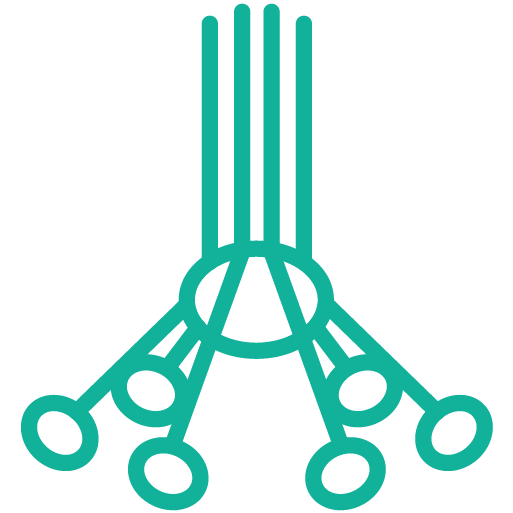 Complement-Cascade_teal