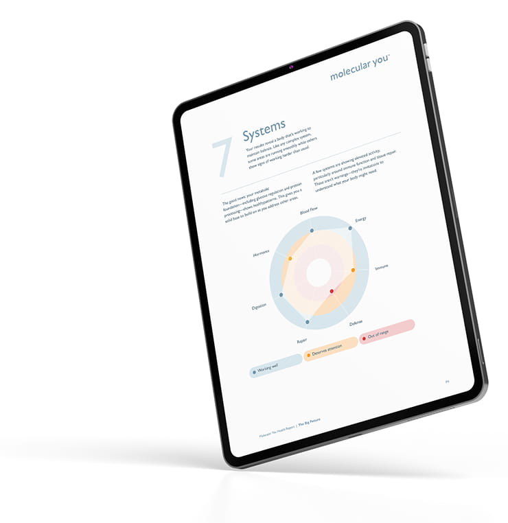 molecular you chart on a tablet.