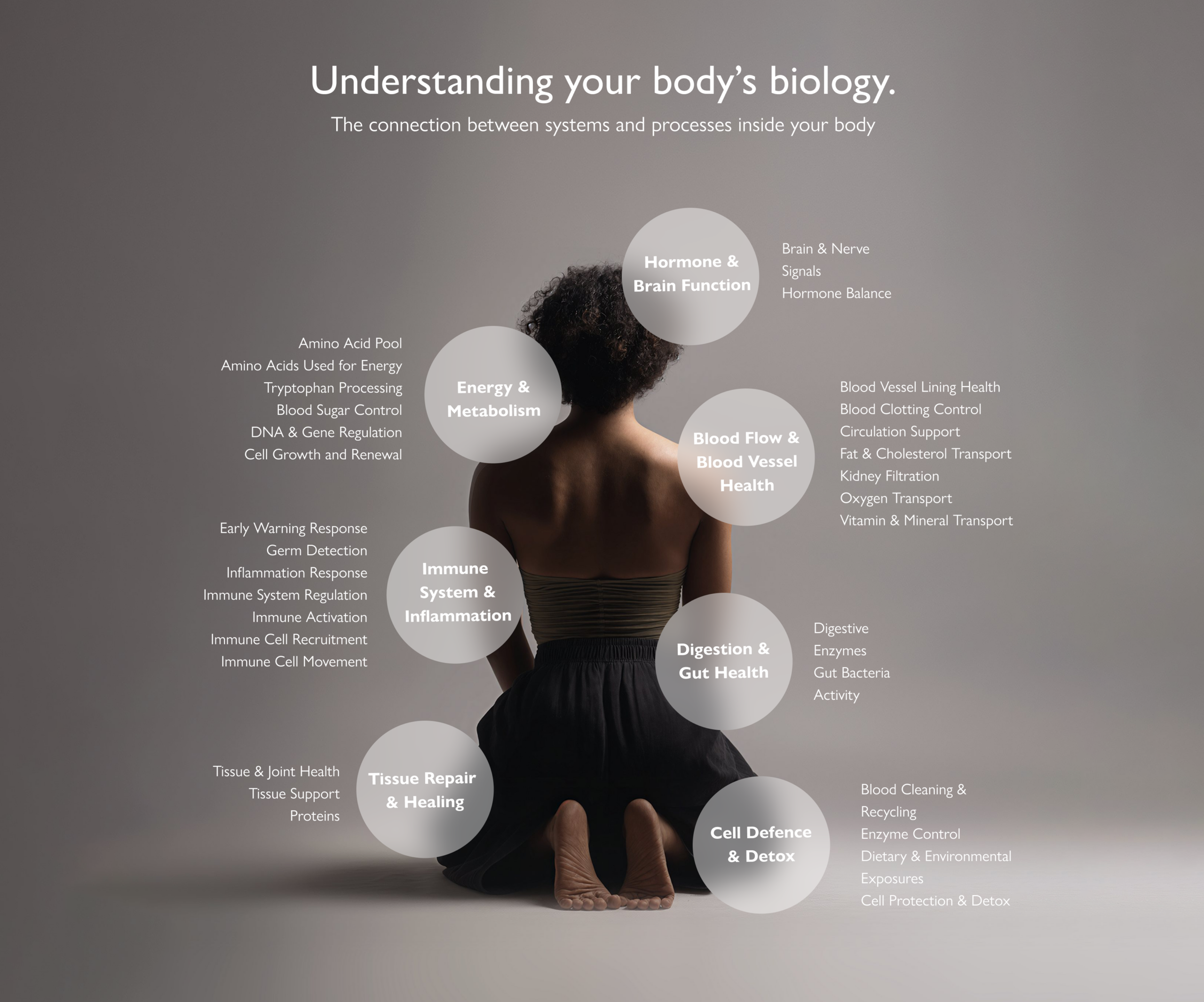 Understanding your body's biology. The connection between systems and processes inside your body.